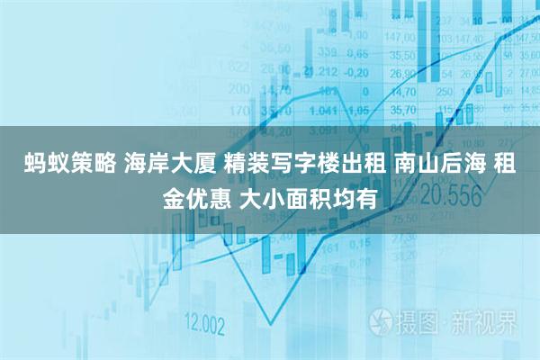 蚂蚁策略 海岸大厦 精装写字楼出租 南山后海 租金优惠 大小面积均有