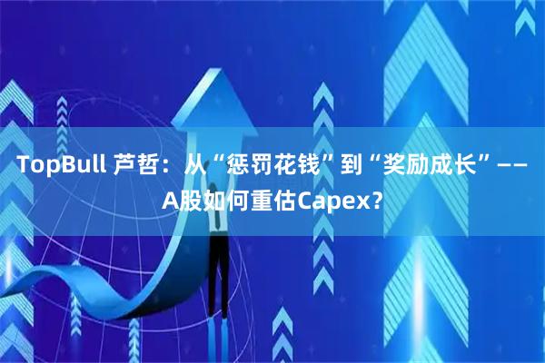 TopBull 芦哲：从“惩罚花钱”到“奖励成长”——A股如何重估Capex？